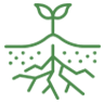Overcoming Root Limits